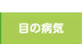 神奈川区金港町　ベイクォーター眼科　目の病気